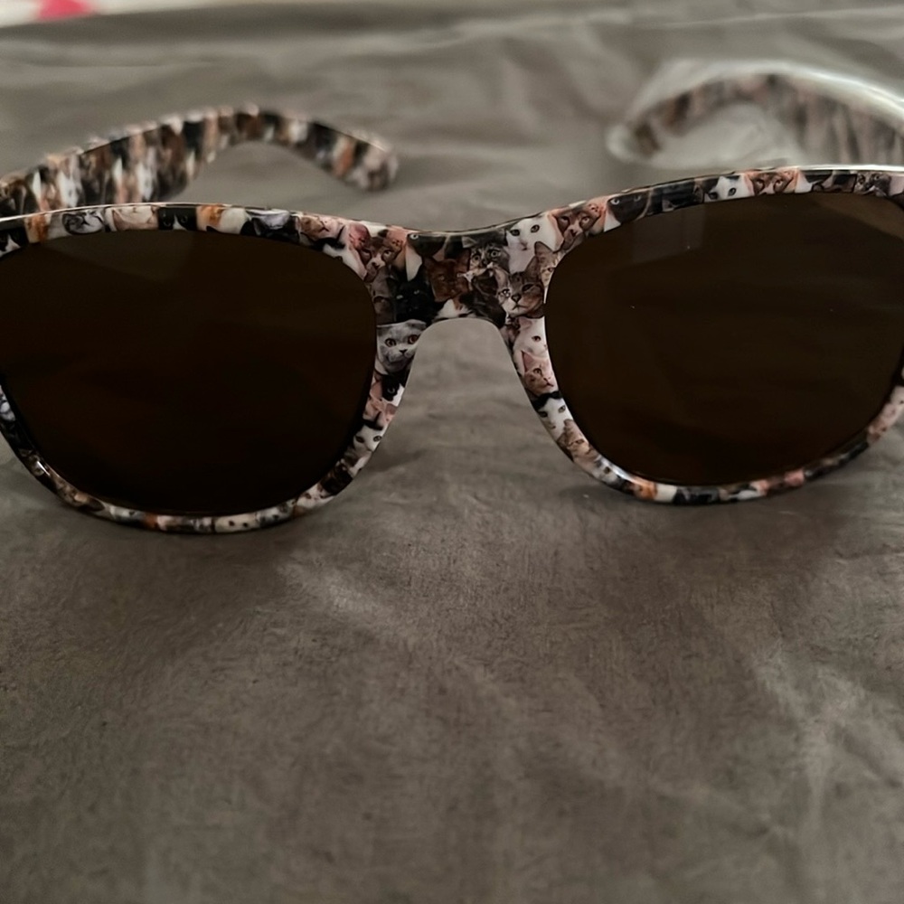 Cat sunglasses